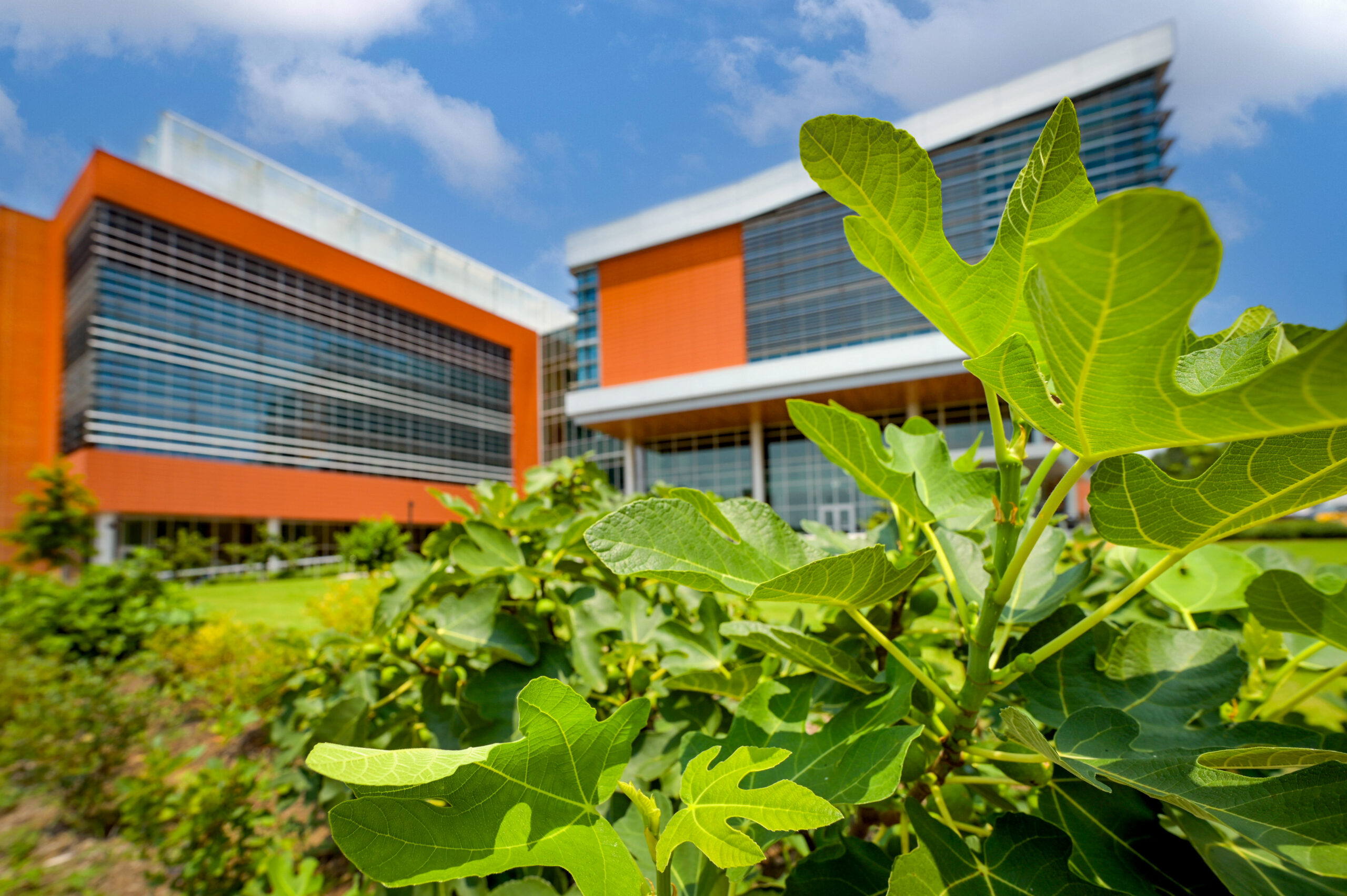 Plant Sciences Building on Centennial Campus